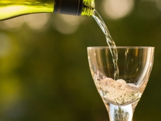 Celebrate with a great selection of wines & Champagne